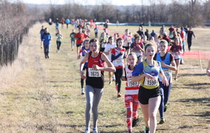 1/2 finale du Championnat de France de Cross